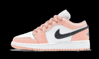 Air Jordan 1 Low Light Arctic Rose