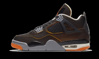 Air Jordan 4 Se Starfish