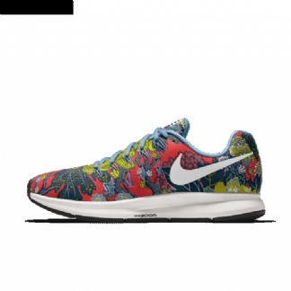 Juokse Nike Zoom Air Pegasus 33 Men