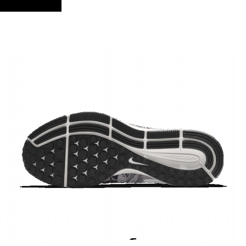 Juokse Nike Zoom Air Pegasus 33 Men