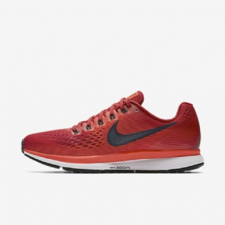 Juokse Nike Zoom Air Pegasus 34 Men