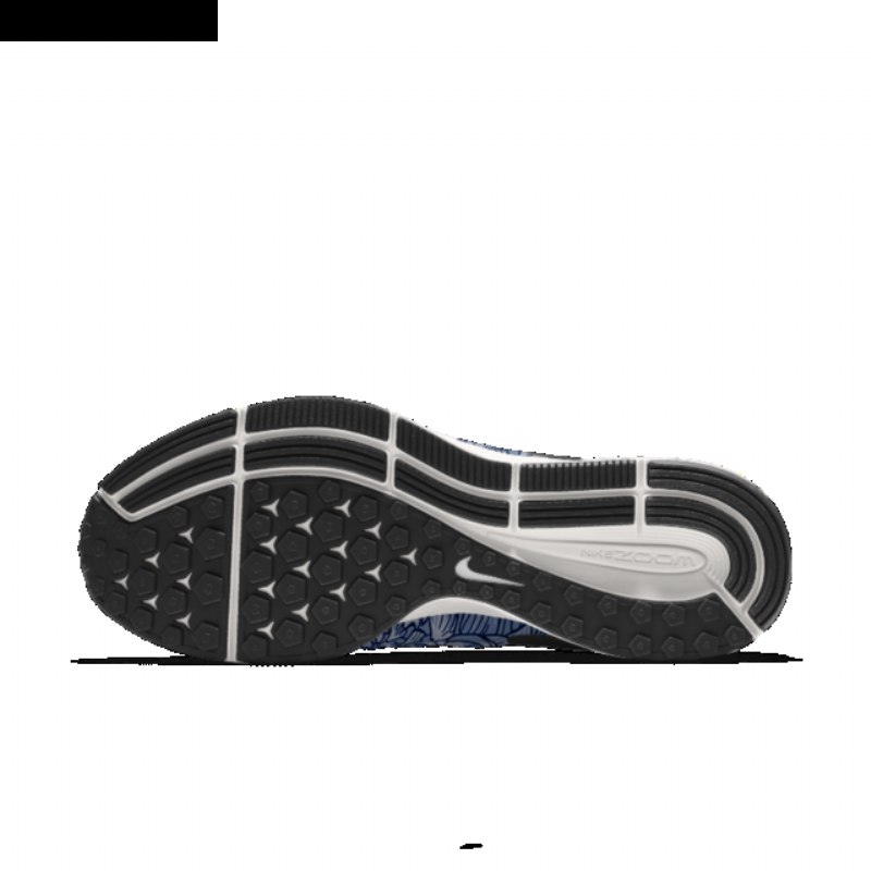 Juokseva Nike Zoom Air Pegasus 33 Miesten Sininen Hong Kong Graphic