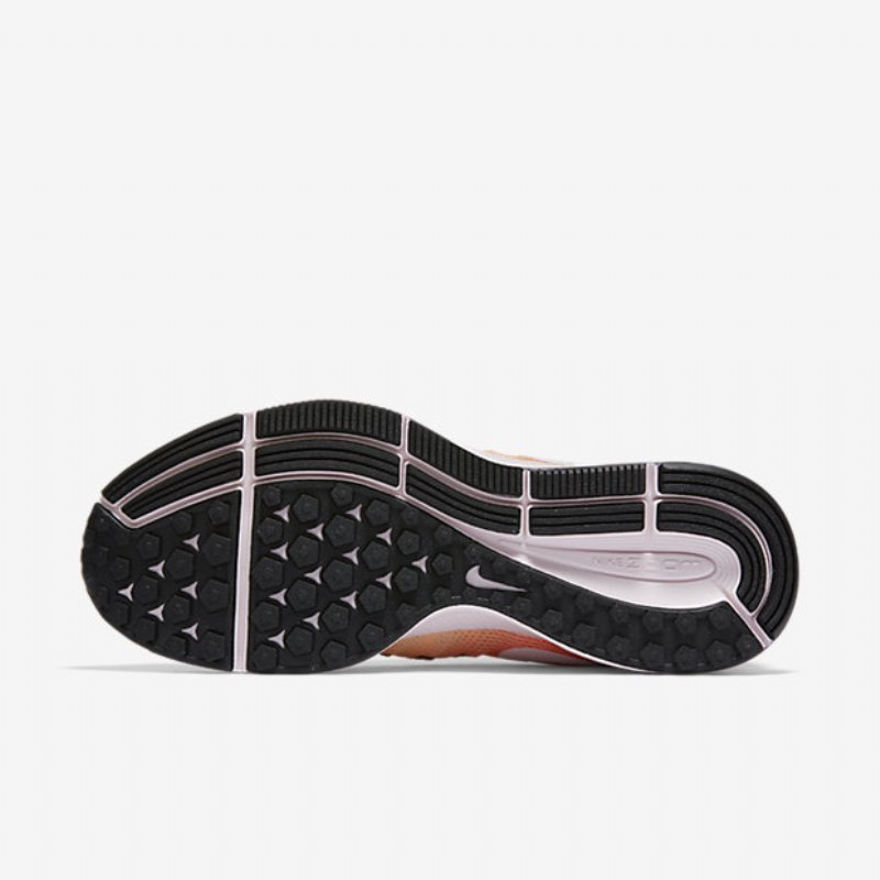 Juokseva Nike Zoom Air Pegasus 33 Naisten