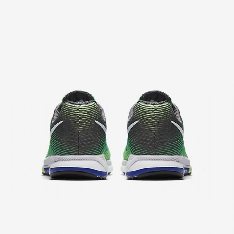 Juokseva Nike Zoom Air Pegasus 33 Naisten