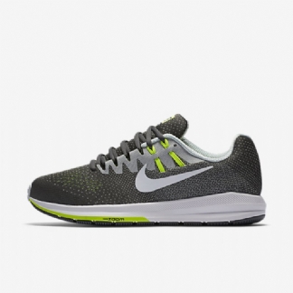 Juoksu Nike Air Zoom Structure 20 Men