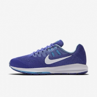 Juoksu Nike Air Zoom Structure 20 Men