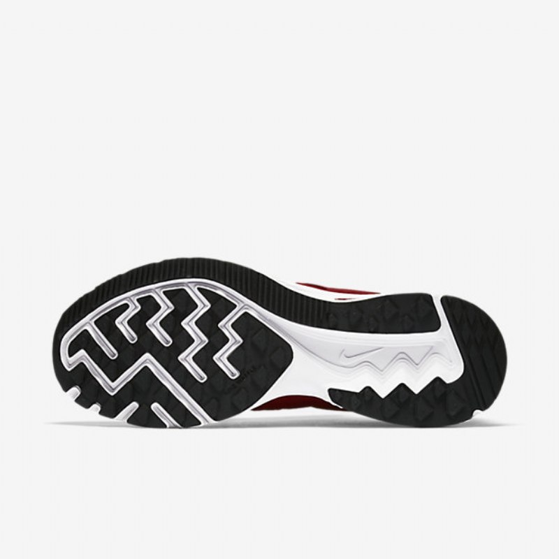 Juoksu Nike Zoom Winflo 3 Men