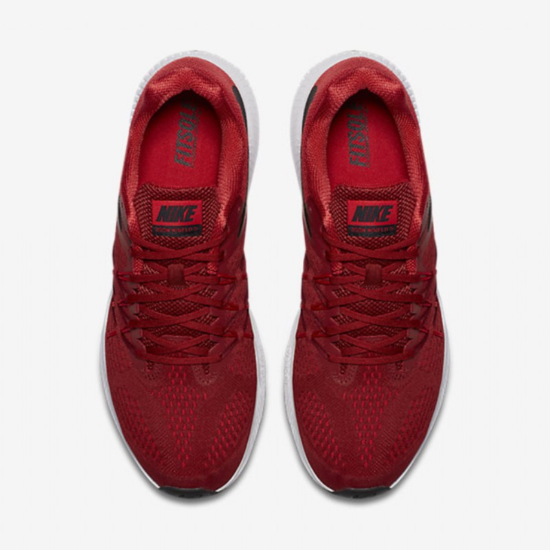 Juoksu Nike Zoom Winflo 3 Men