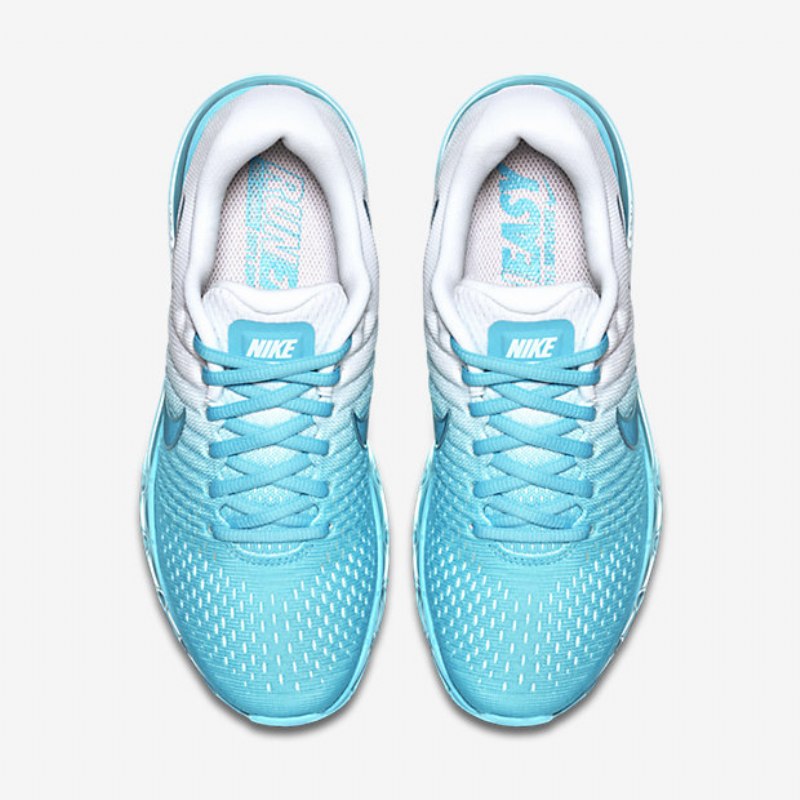 Juoksukengät Nike Air Max 2017 Naisten Polarized Blue Legion