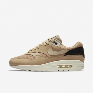 Kengät Nikelab Pinnacle Air Max 1 Miesten Sieni Beige Bio Light Bone Kaurapuuro
