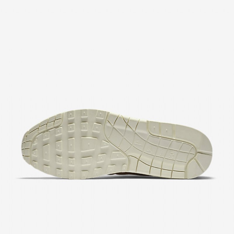 Kengät Nikelab Pinnacle Air Max 1 Miesten Sieni Beige Bio Light Bone Kaurapuuro