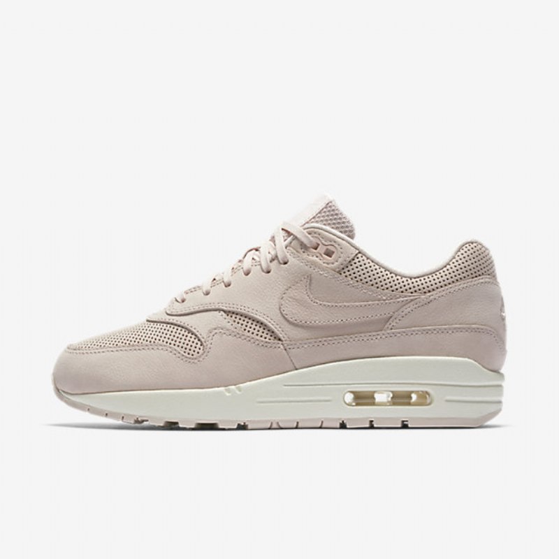 Nike Air Max 1 Naisten Pinnacle