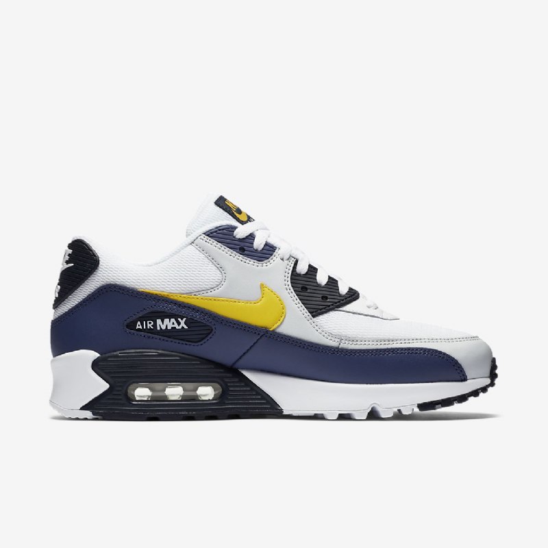 Nike Air Max 90 Essential Men