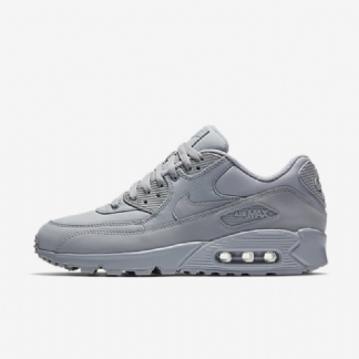 Nike Air Max 90 Essential Men