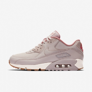 Nike Air Max 90 Naiset