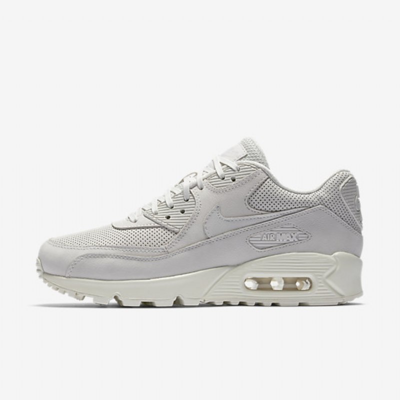 Nike Air Max 90 Naisten Pinnacle Light Bone Sailing