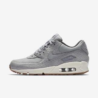 Nike Air Max 90 Premium -naiset