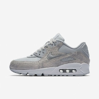 Nike Air Max 90 Premium Naisten Pure Platinum White Metallic Hopea