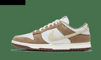 Nike Dunk Low Medium Curry