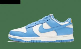 Nike Dunk Low Sail Coast