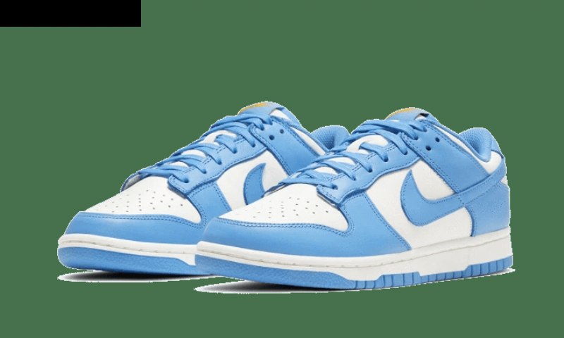 Nike Dunk Low Sail Coast