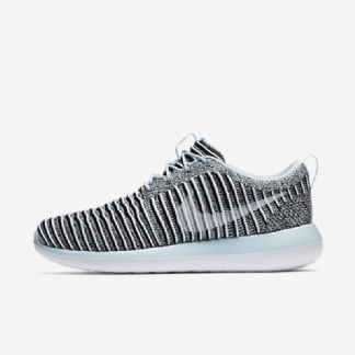 Nike Roshe Flyknit Kaksi Kenkiä