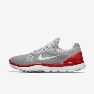 Treenikengät Nike Free Trainer V7 (ohio State) Miesten